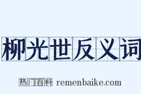 柳光世反义词是什么意思的图片